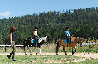Reiten auf dem Reitplatz